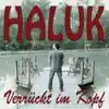Haluk Koudsi - Verrückt im Kopf (Radio Version) - Single